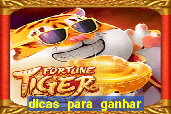 dicas para ganhar no fortune rabbit